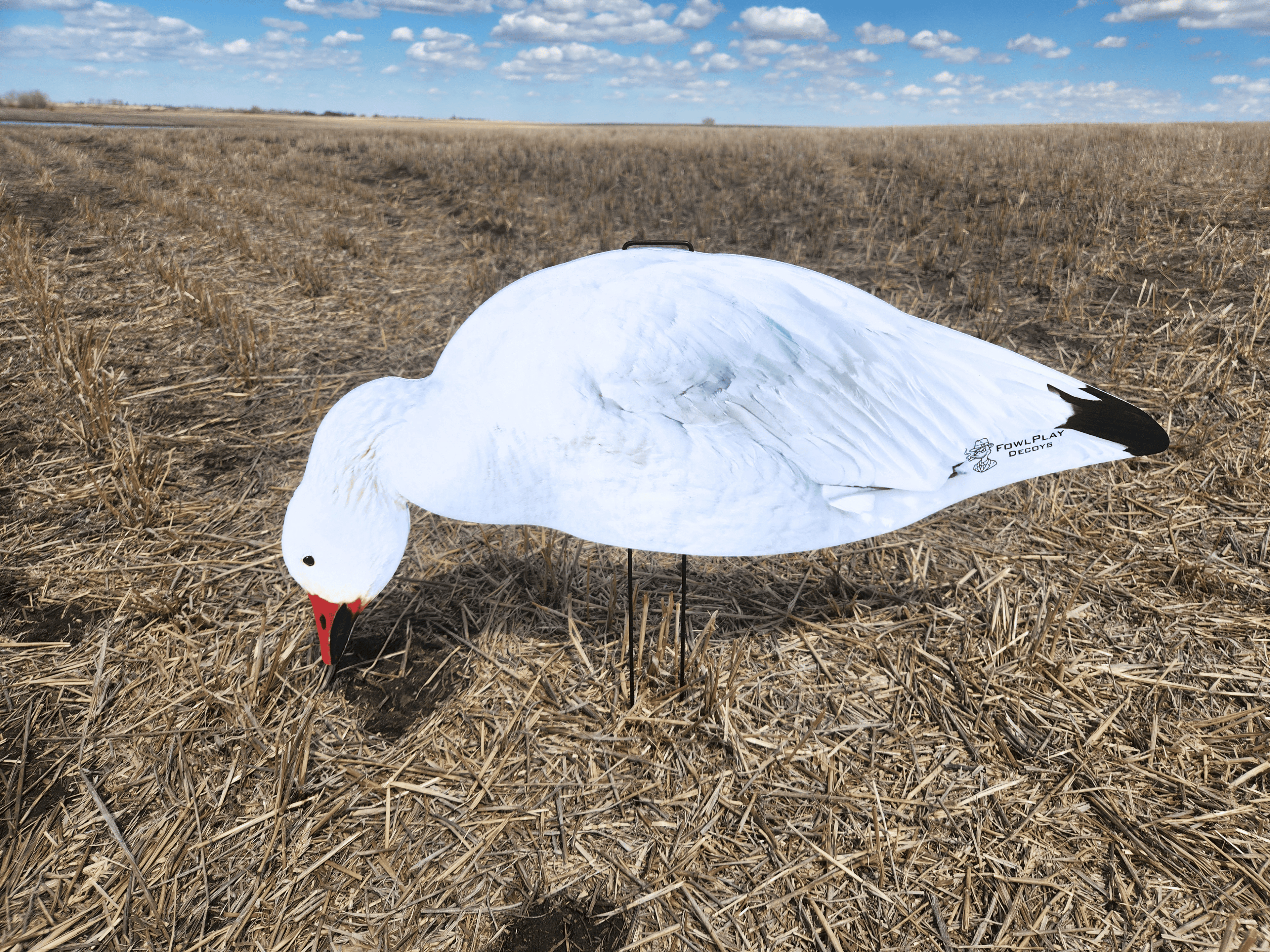 FowlPlay Decoys Snow Goose Silhouette Decoy feeder pose in a stubble field