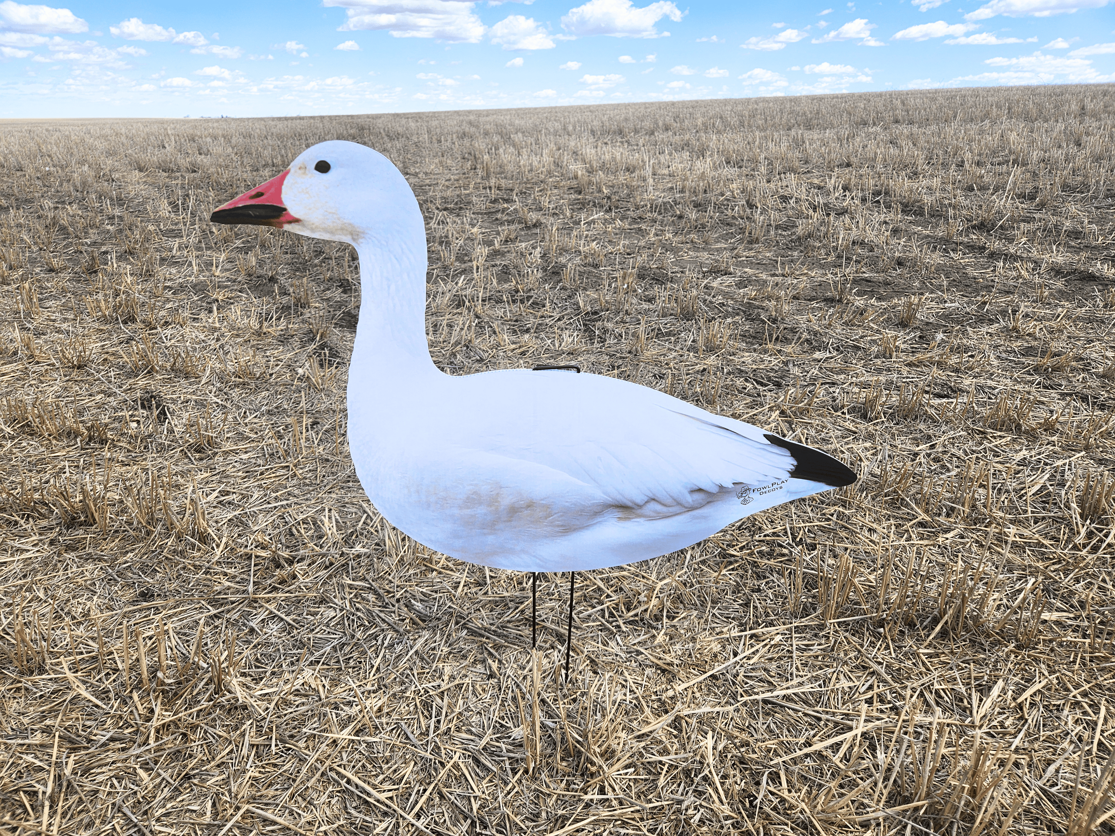 FowlPlay Decoys Snow Goose Silhouette Decoy Sentry pose in a stubble field