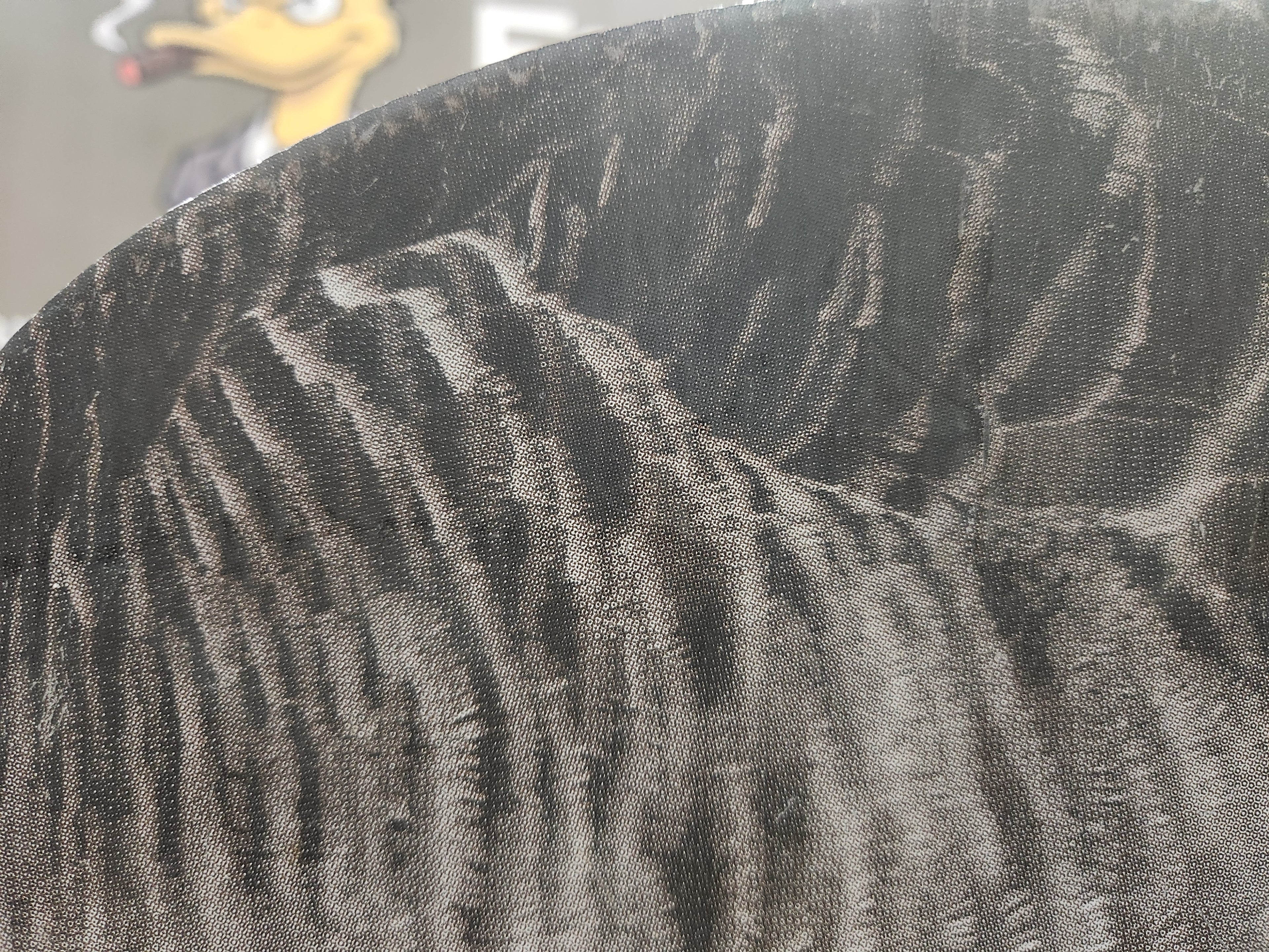 Leading Brand low resolution feather detail