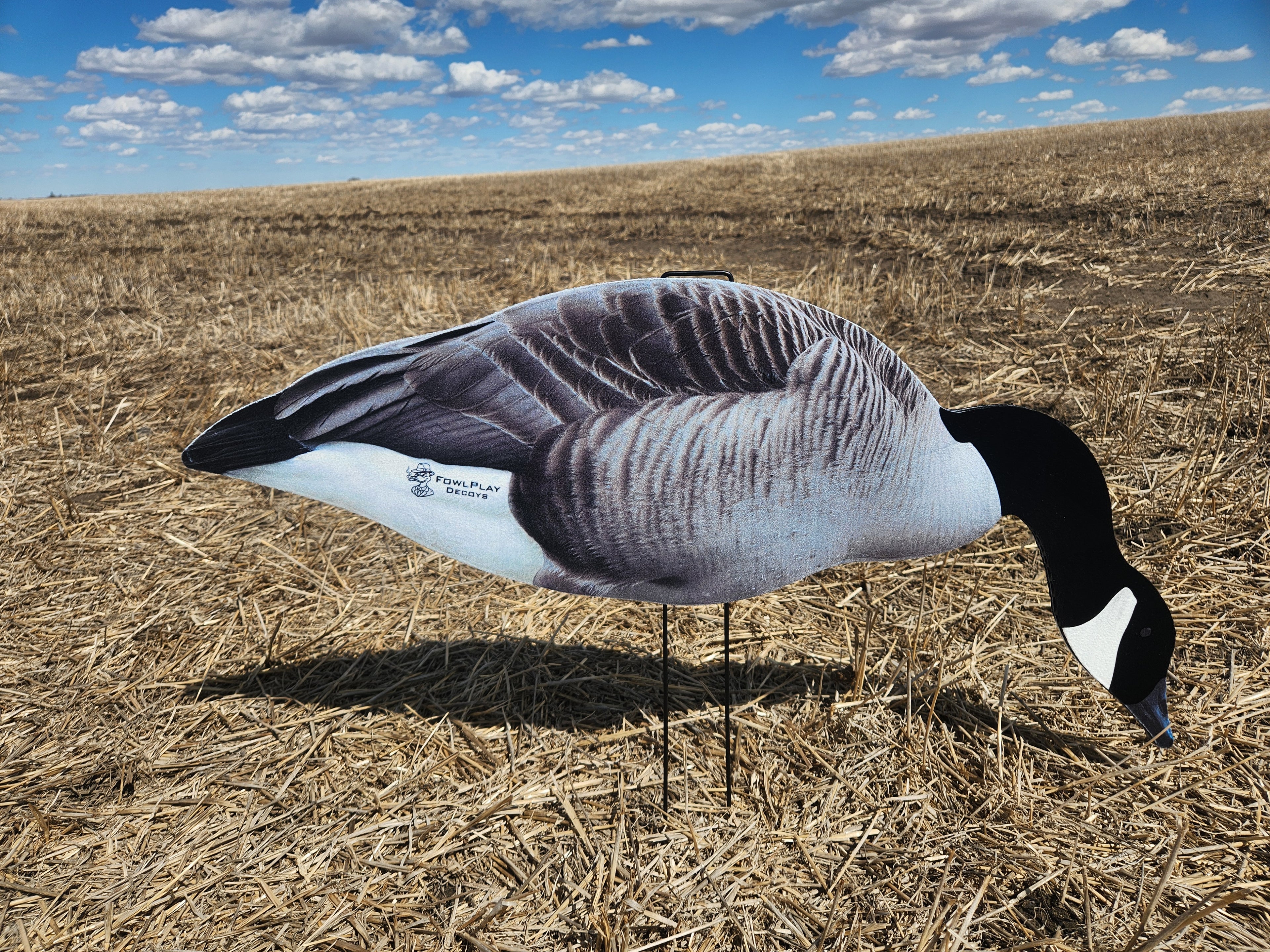 FowlPlay Decoys Fully flocked canada goose feeder decoy in a stubble field