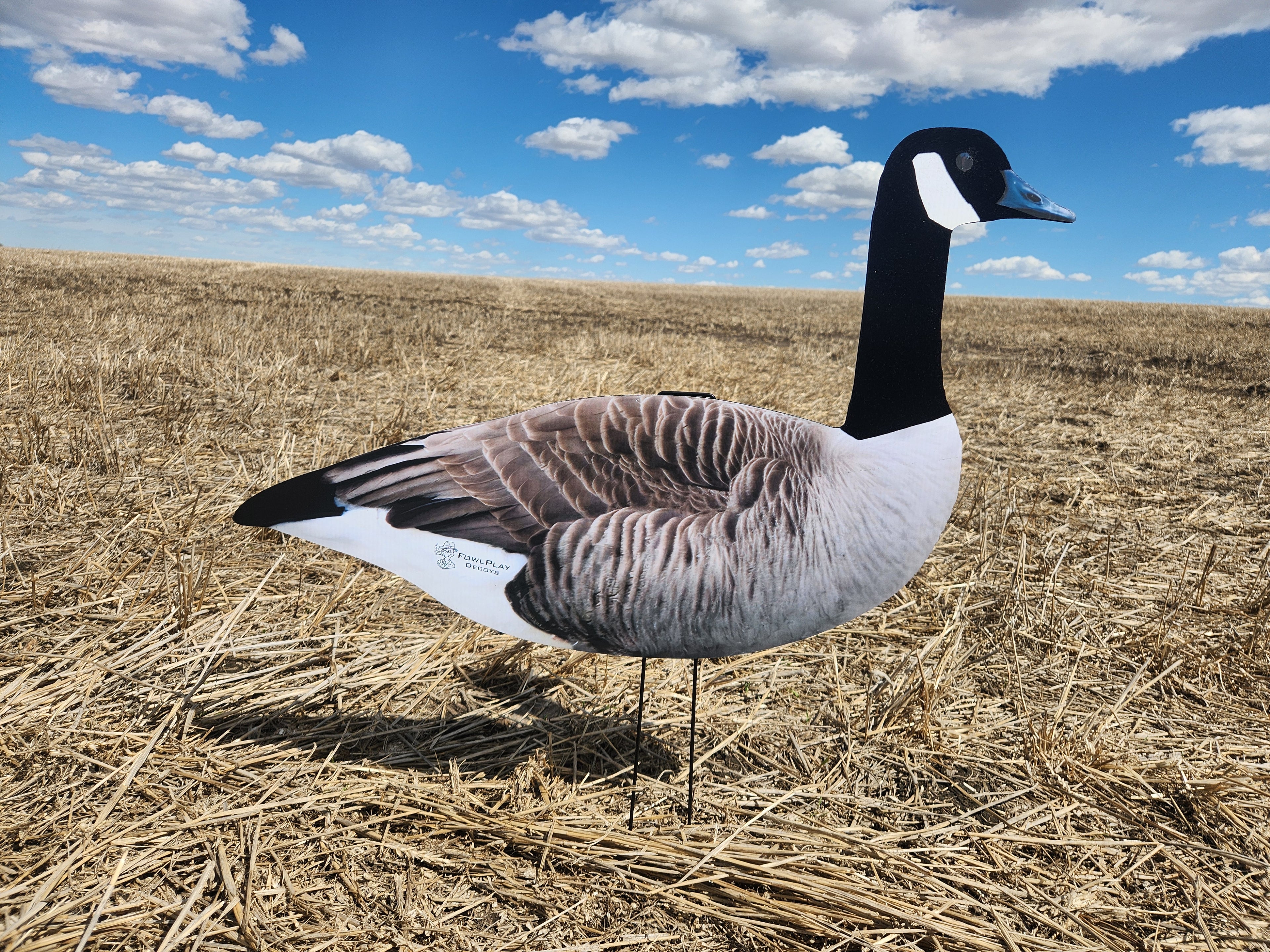 FowlPlay Decoys Flocked Head Canada Goose silhouette decoy sentry pose in a stubble field