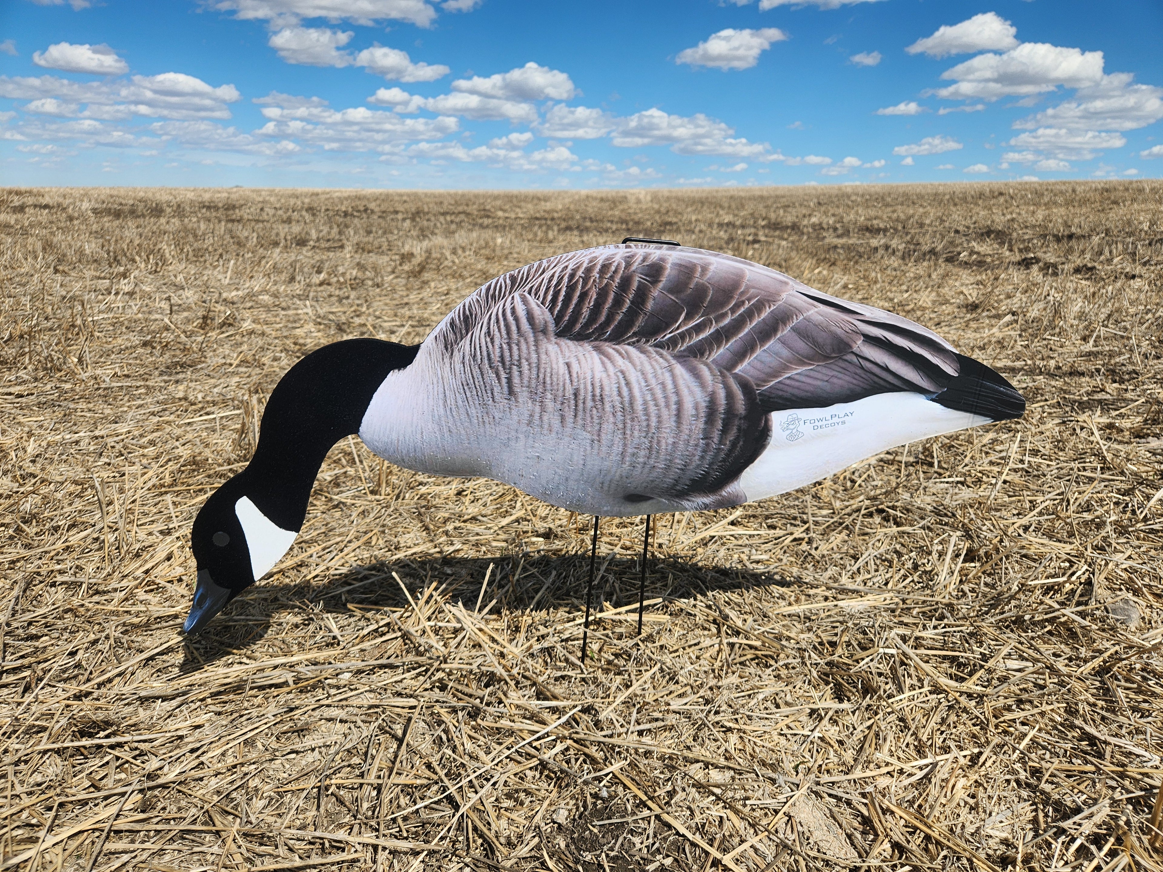 FowlPlay Decoys Flocked Head Canada Goose silhouette decoy feeder pose in a stubble field