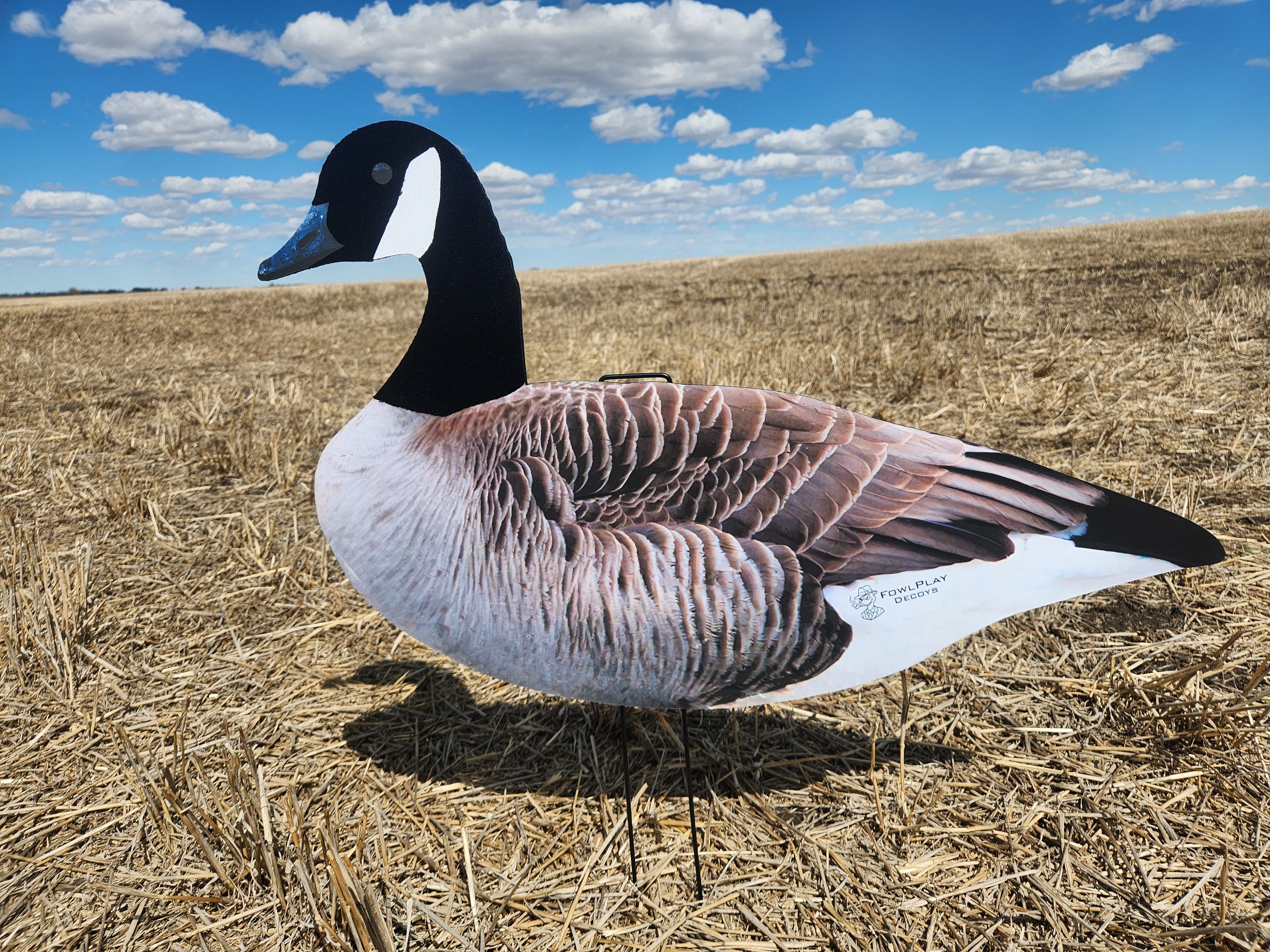 FowlPlay Decoys Flocked Head Canada Goose silhouette decoy relaxed pose in a stubble field