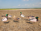 Mallard duck silhouette decoys from FowlPlay Decoys standing in a field.