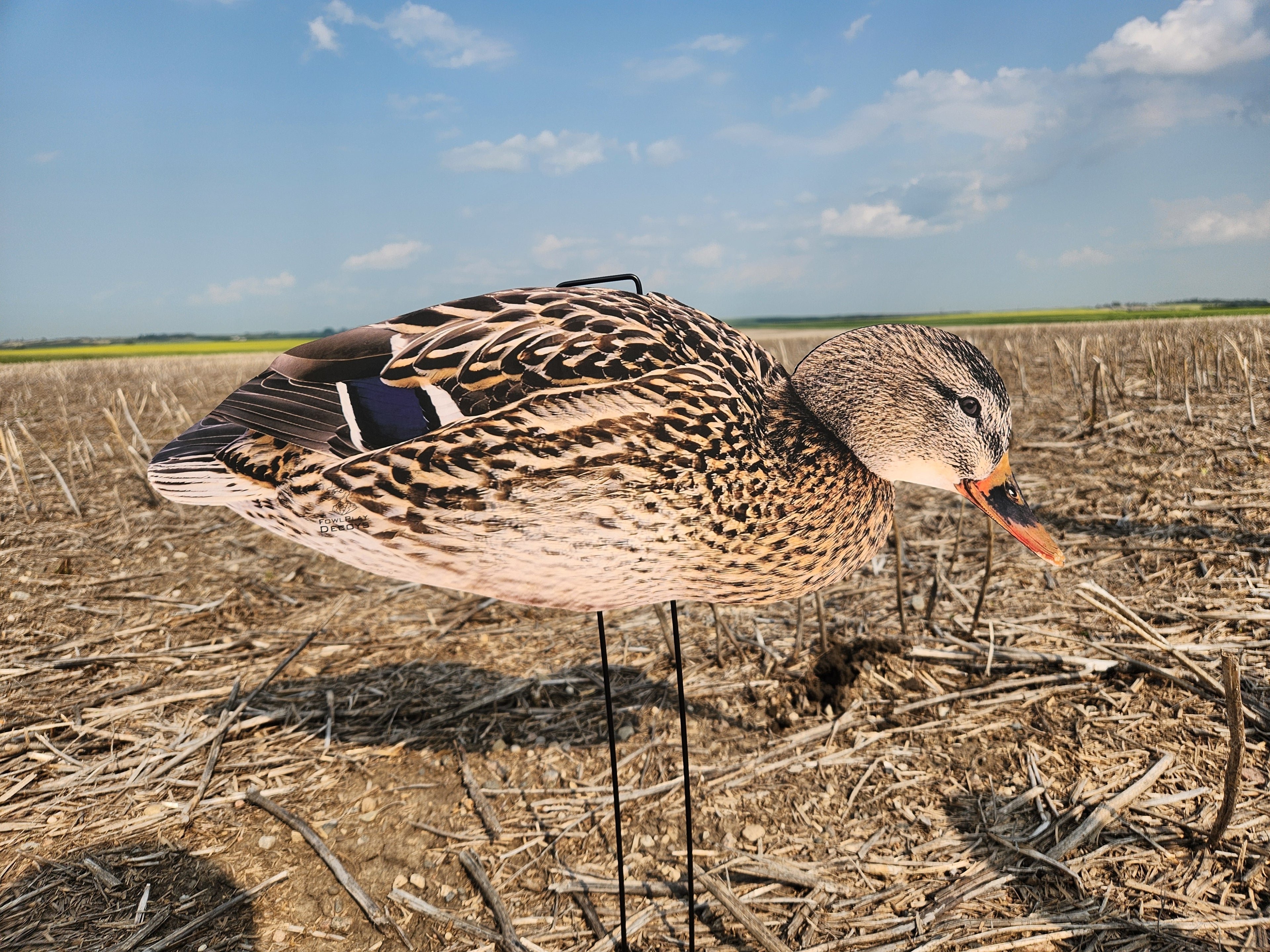A realistic Mallard duck hen silhouette decoy from FowlPlay Decoys standing in a field.