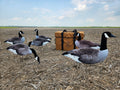A group of premium fully flocked Canada goose silhouette decoys with a heavy duty storage bag by FowlPlay Decoys.