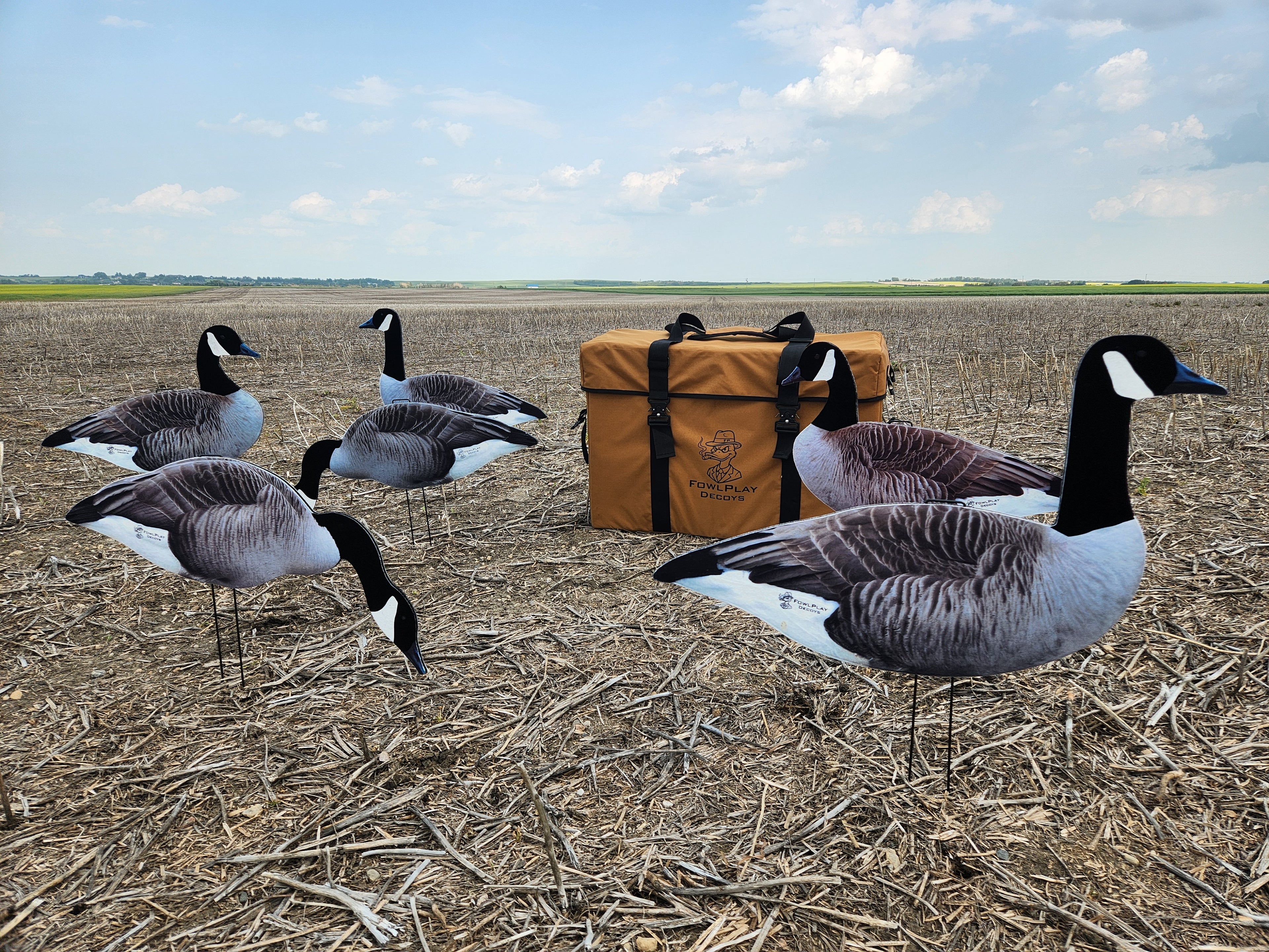 A group of premium fully flocked Canada goose silhouette decoys with a heavy duty storage bag by FowlPlay Decoys.