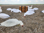 A group of white snow goose silhouette decoys with a heavy duty silhouette decoy storage bag in a stubble field.
