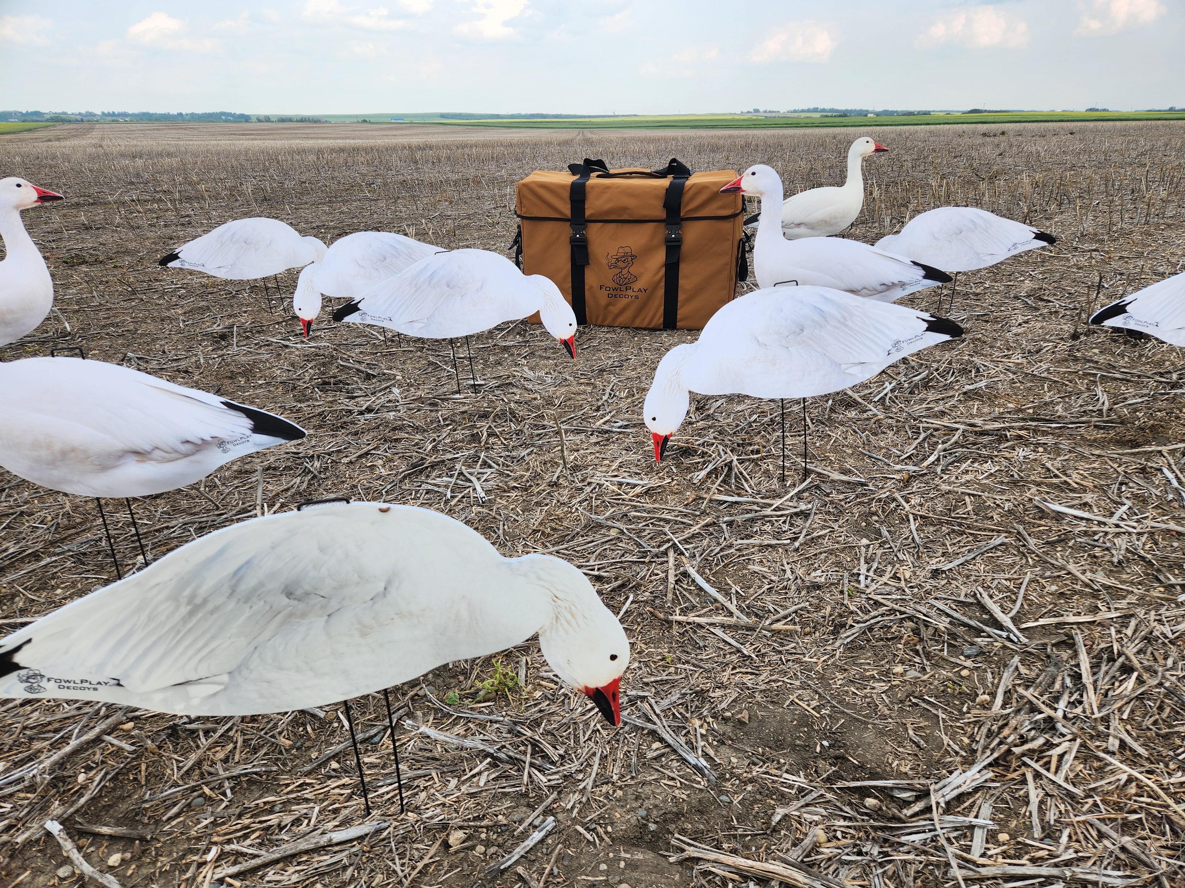A group of white snow goose silhouette decoys with a heavy duty silhouette decoy storage bag in a stubble field.