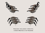 FowlPlay Decoys Flocked Head Canada Goose silhouette decoys package quantity
