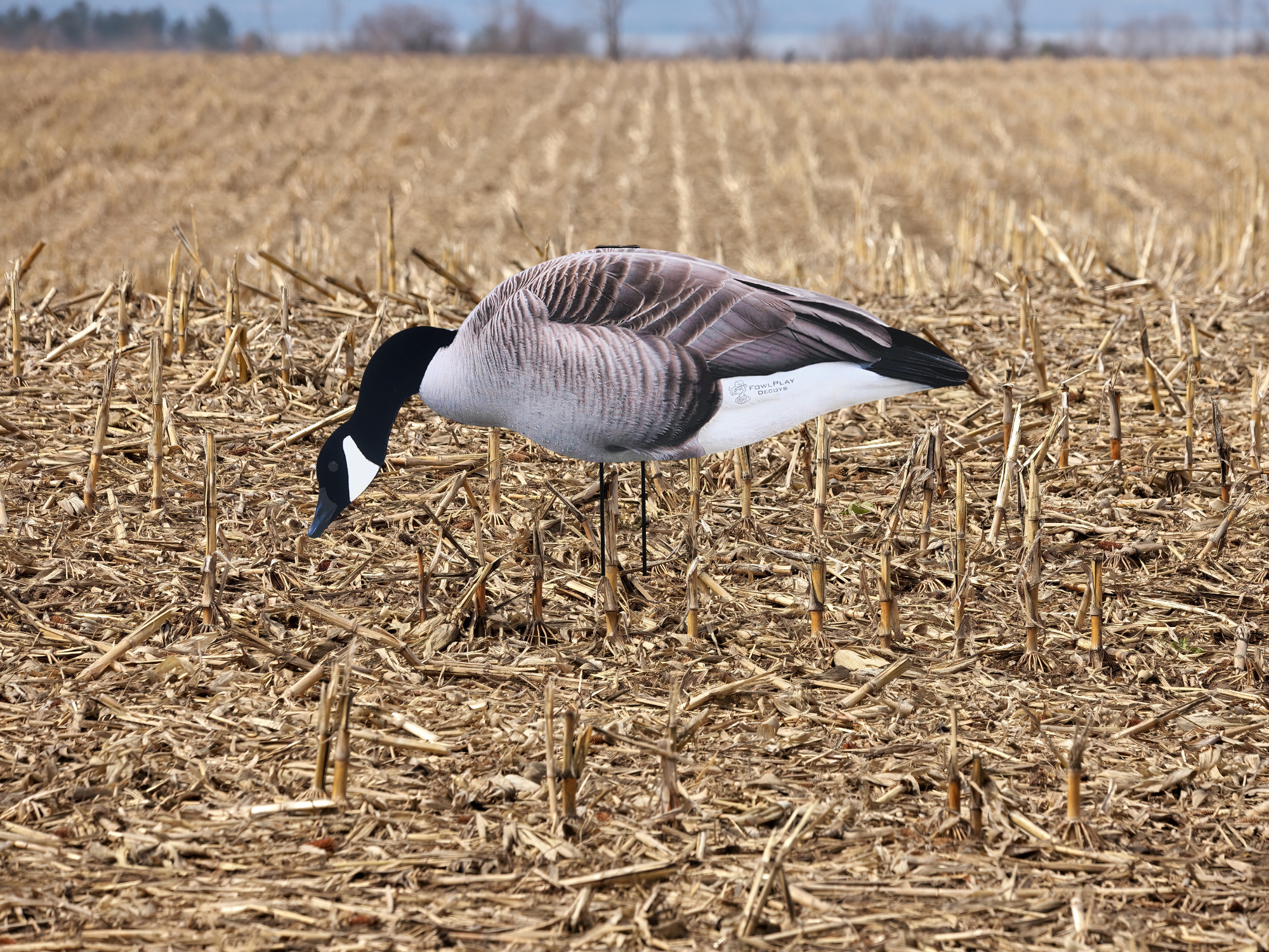 Canada Goose silhouette decoys with flocked heads for field hunting - 12 pack