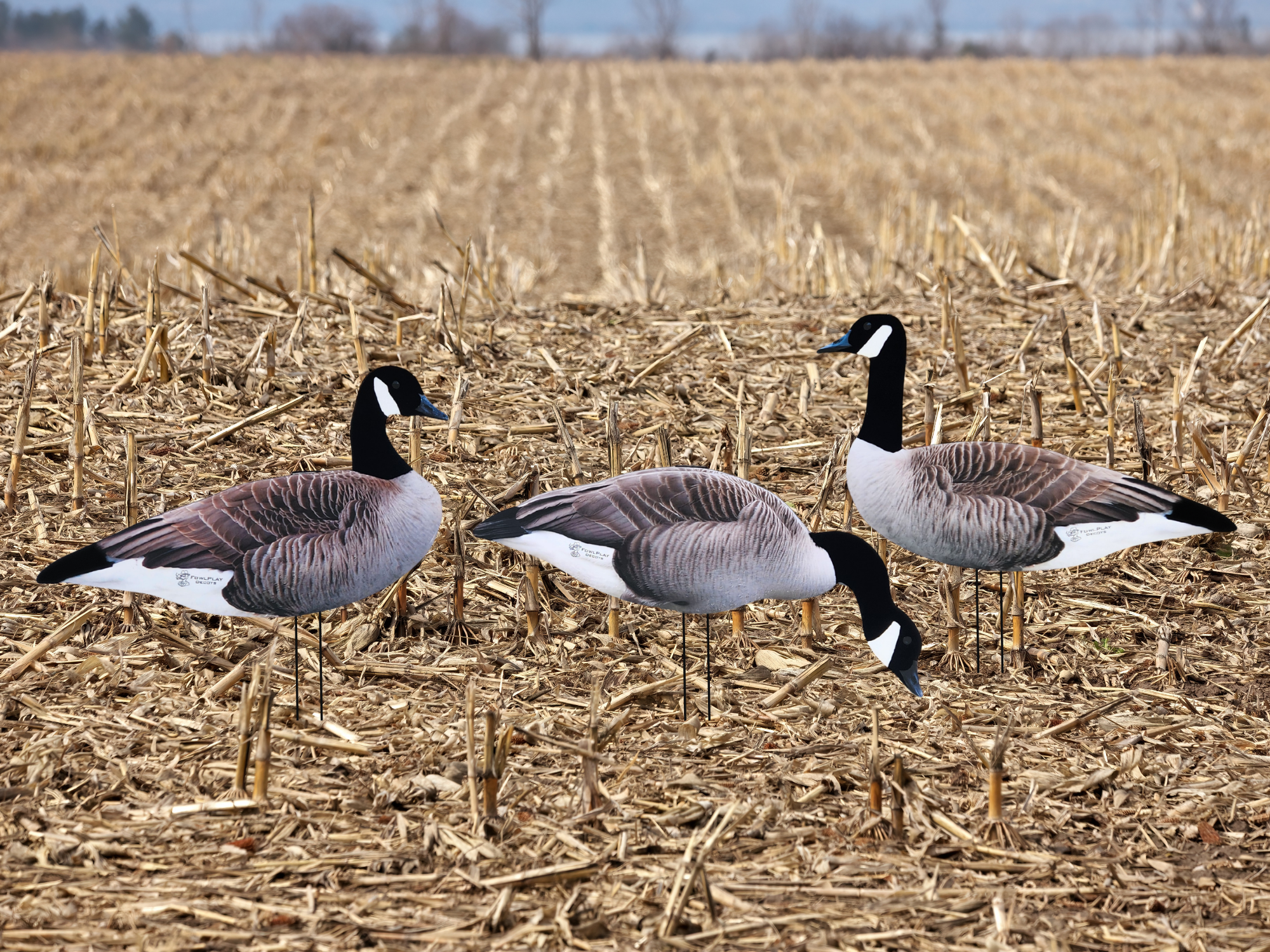 Durable Canada Goose silhouette decoys designed for Canadian prairie hunting
