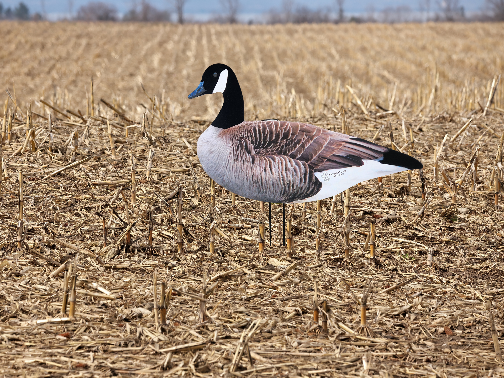 Canada Goose silhouette decoys with flocked heads for field hunting - 12 pack