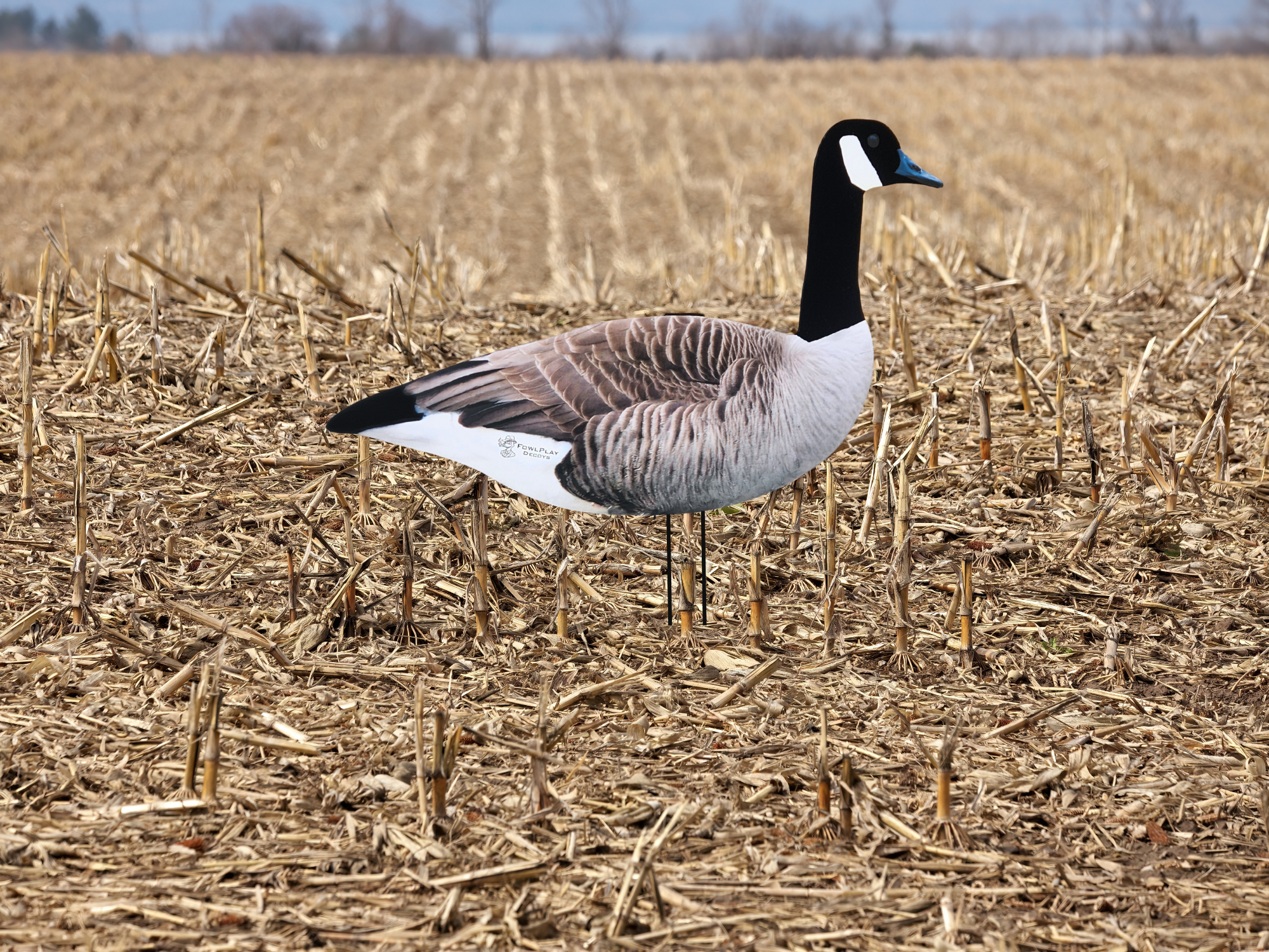 Canada Goose silhouette decoys with flocked heads for field hunting - 12 pack