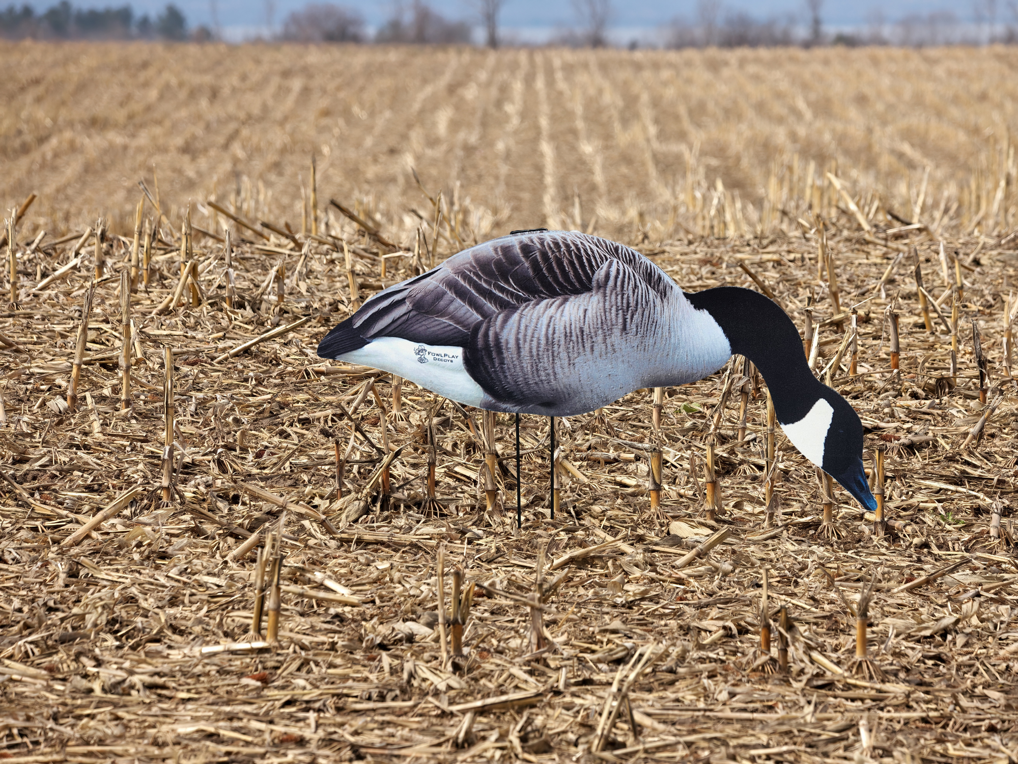 Premium fully flocked Canada Goose silhouette decoys for professional waterfowl spreads