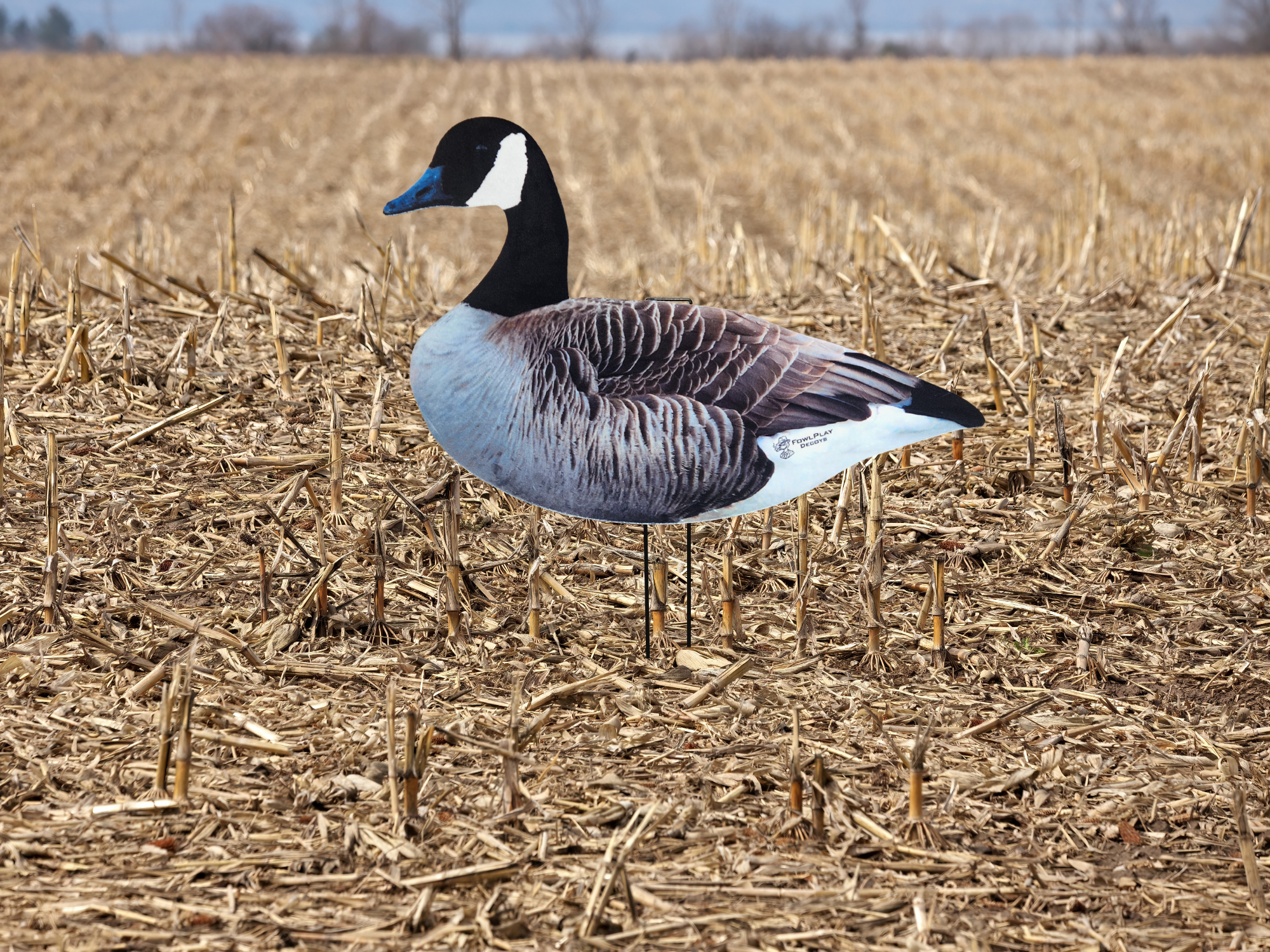 Premium fully flocked Canada Goose silhouette decoys for professional waterfowl spreads