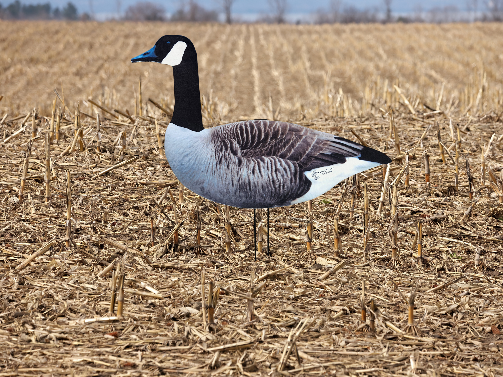Premium fully flocked Canada Goose silhouette decoys for professional waterfowl spreads