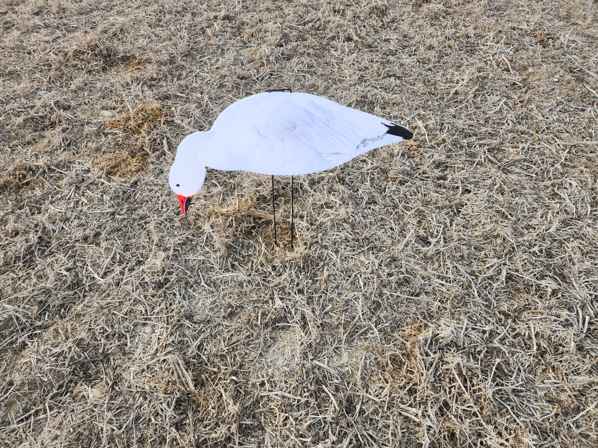 Snow goose silhouette decoys for high-volume spring and fall conservation hunts
